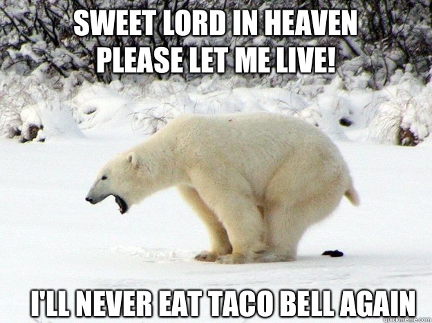 SWEET LORD IN HEAVEN
PLEASE LET ME LIVE! I'll never eat taco bell again  Polar Bear Crap