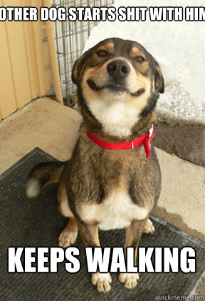 OTHER DOG STARTS SHIT WITH HIM  KEEPS WALKING - OTHER DOG STARTS SHIT WITH HIM  KEEPS WALKING  Good Dog Greg