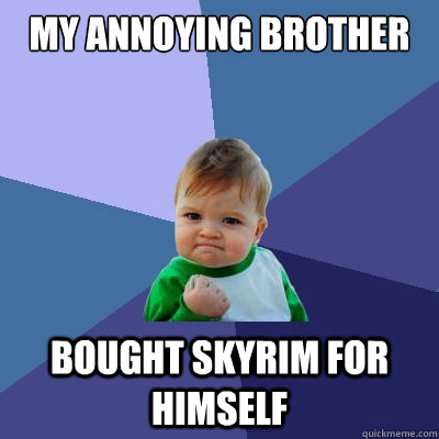My annoying brother bought skyrim for himself  Success Kid