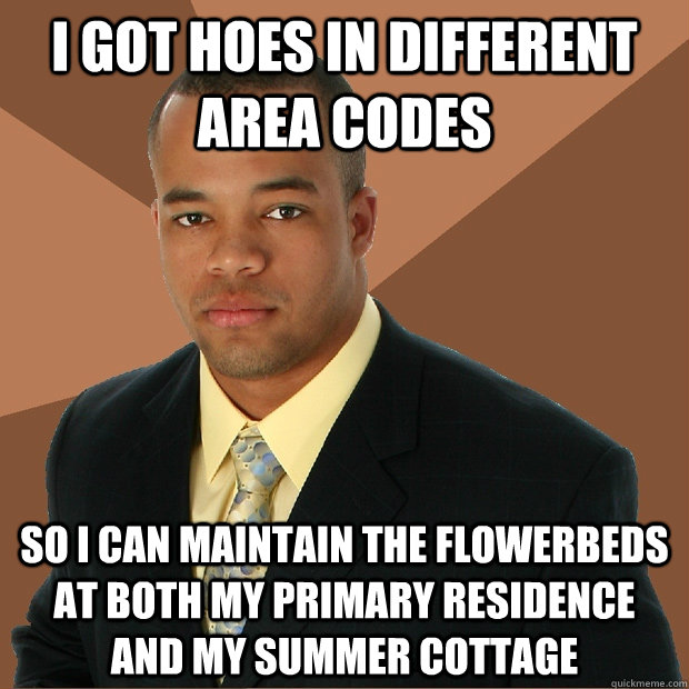 I got hoes in different area codes so i can maintain the flowerbeds at both my primary residence and my summer cottage  Successful Black Man
