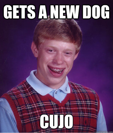 Gets a new dog cujo - Gets a new dog cujo  Bad Luck Brian