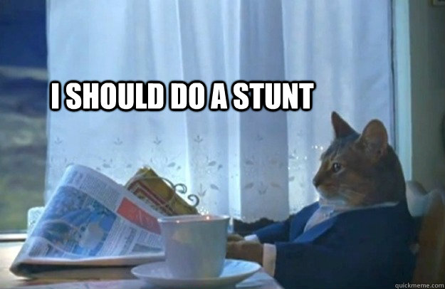I SHOULD do a stunt  Sophisticated Cat