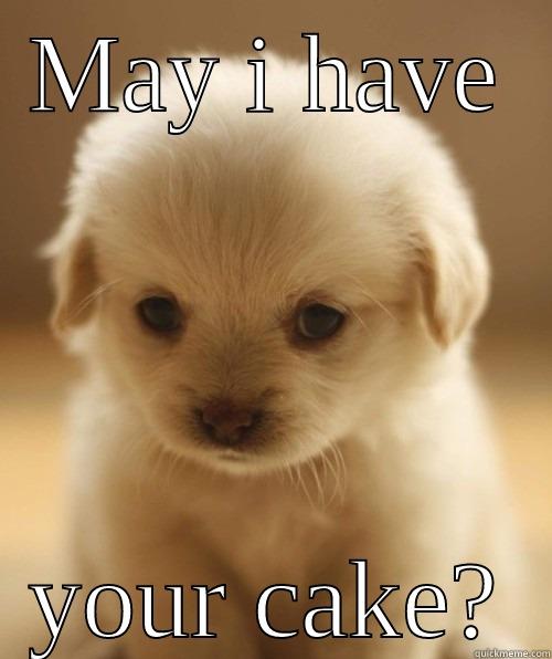 SHY DOG QUESTION - MAY I HAVE YOUR CAKE? Misc