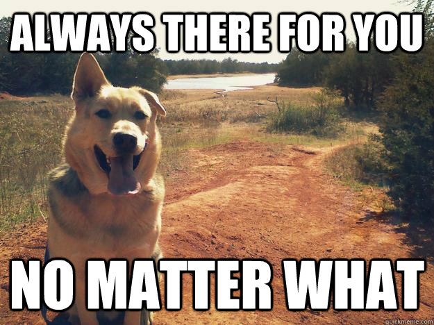 Always there for you No matter what - Always there for you No matter what  Good Guy Dog