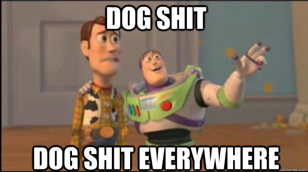 Dog Shit Dog Shit Everywhere  Buzz and Woody