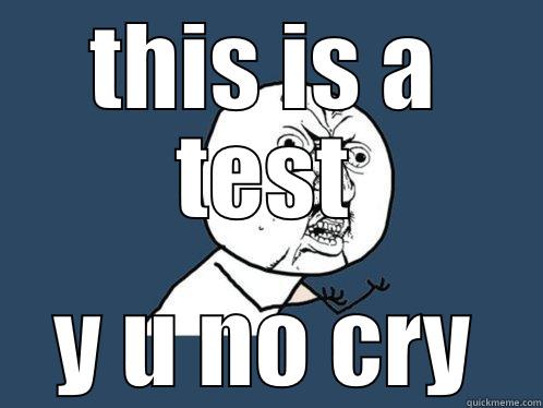 THIS IS A TEST Y U NO CRY Y U No