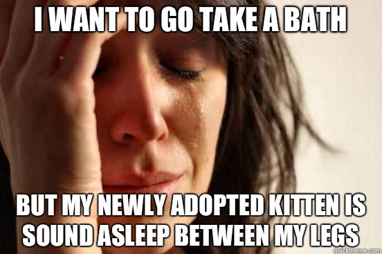 I want to go take a bath  But my newly adopted kitten is sound asleep between my legs  First World Problems