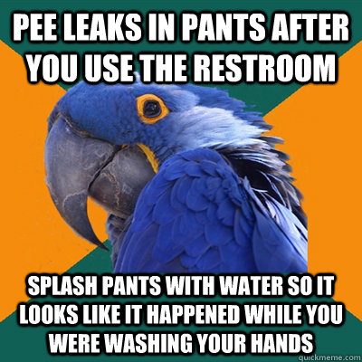 pee leaks in pants after you use the restroom splash pants with water so it looks like it happened while you were washing your hands  Paranoid Parrot