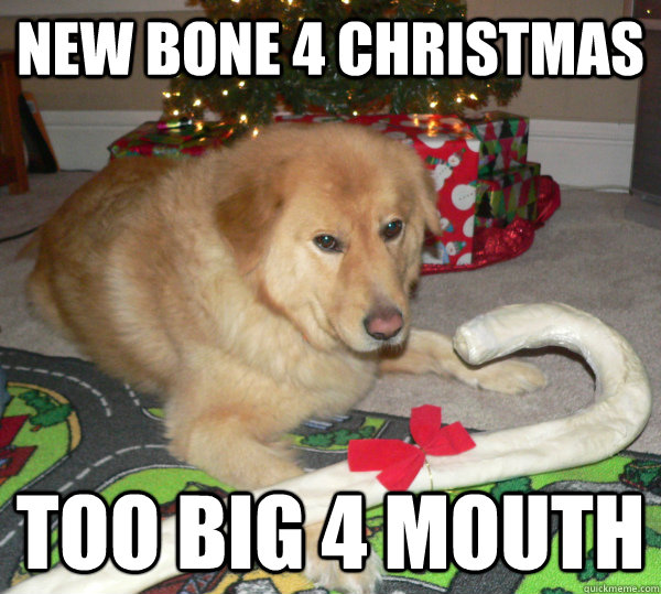 New Bone 4 Christmas Too big 4 mouth - New Bone 4 Christmas Too big 4 mouth  First World Dog problems