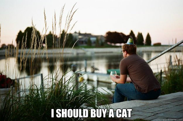  I should buy a cat -  I should buy a cat  I should buy a cat person