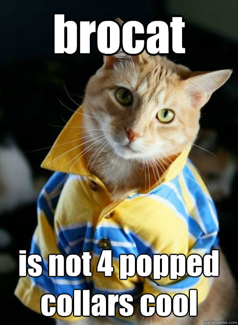 brocat is not 4 popped collars cool - brocat is not 4 popped collars cool  Brocat