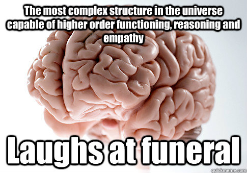 The most complex structure in the universe capable of higher order functioning, reasoning and empathy Laughs at funeral - The most complex structure in the universe capable of higher order functioning, reasoning and empathy Laughs at funeral  Scumbag Brain