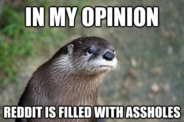 in my opinion reddit is filled with assholes  Opinion Otter