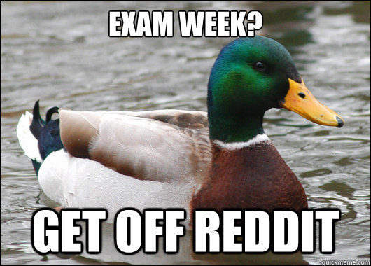 Exam week? get off reddit - Exam week? get off reddit  Actual Advice Mallard