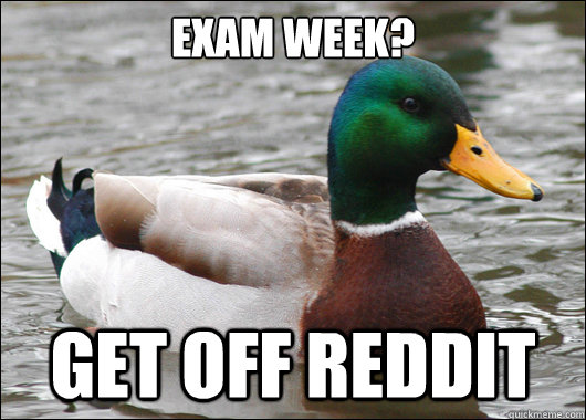 Exam week? get off reddit  Actual Advice Mallard
