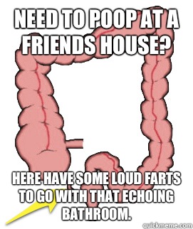 Need to poop at a friends house? Here have some loud farts to go with that echoing bathroom.  Scumbag Bowels