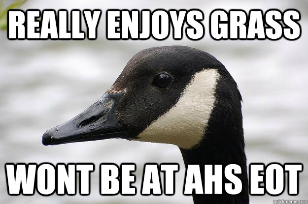 Really enjoys grass Wont be at ahs eot - Really enjoys grass Wont be at ahs eot  Good Guy Goose