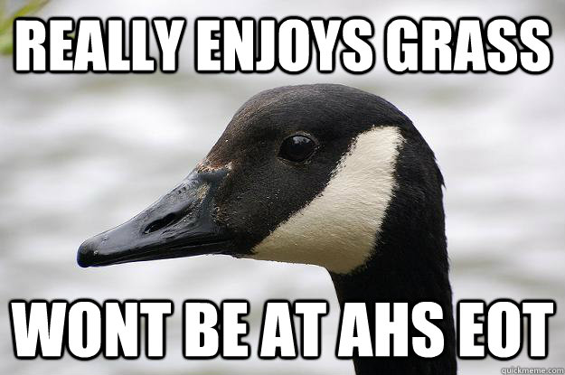 Really enjoys grass Wont be at ahs eot  Good Guy Goose