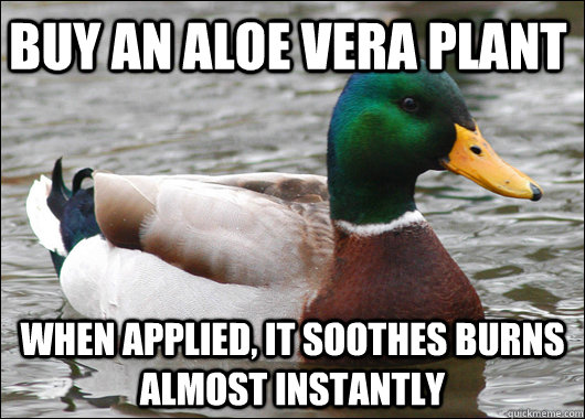 Buy an aloe vera plant when applied, it soothes burns almost instantly  Actual Advice Mallard