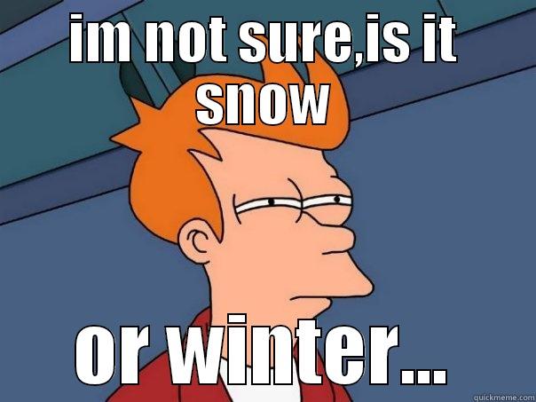 IM NOT SURE,IS IT SNOW OR WINTER... Futurama Fry