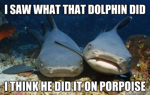 I saw what that dolphin did i think he did it on porpoise  Compassionate Shark Friend