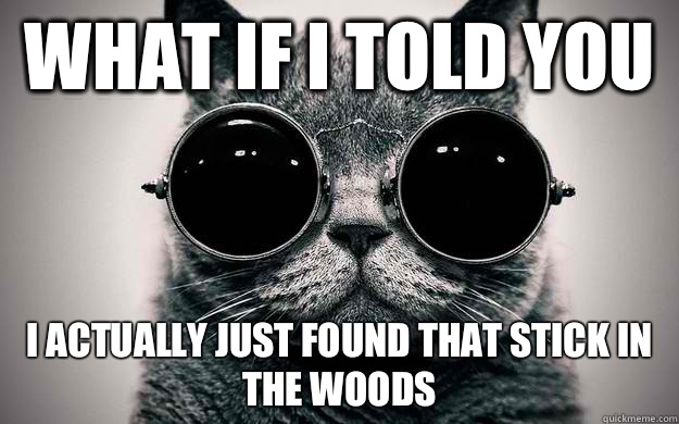 What if i told you I actually just found that stick in the woods  Morpheus Cat Facts