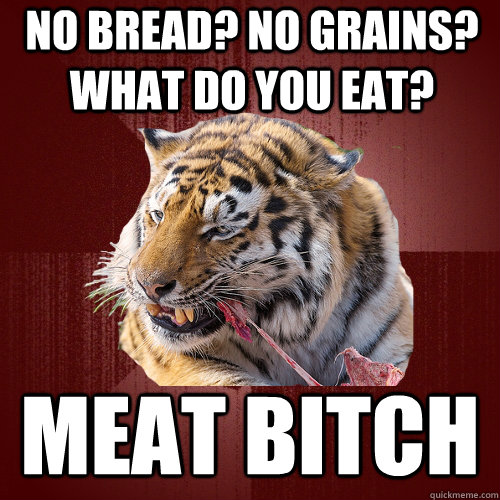 No Bread? No Grains? What do you eat? meat bitch - No Bread? No Grains? What do you eat? meat bitch  Keto Tiger