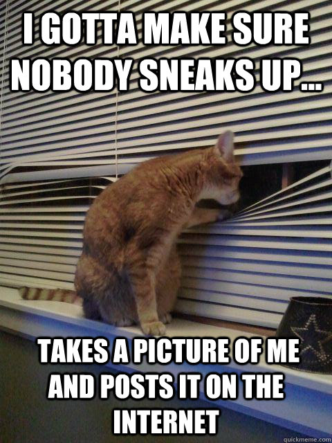 I gotta make sure nobody sneaks up...  takes a picture of me and posts it on the internet  Peeping Tomcat