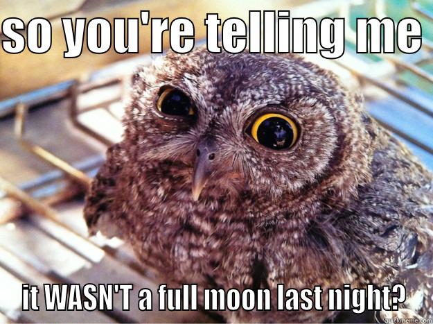 SO YOU'RE TELLING ME  IT WASN'T A FULL MOON LAST NIGHT? Skeptical Owl