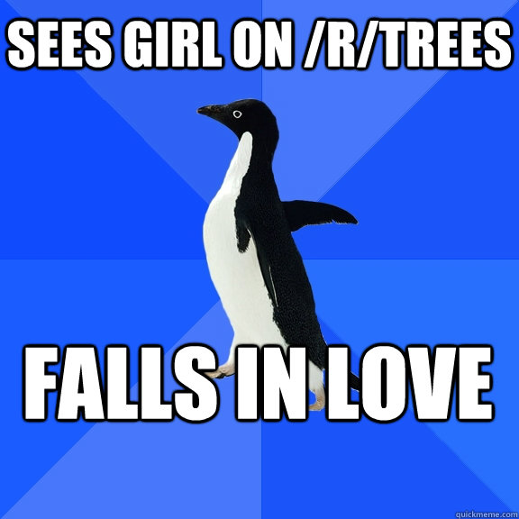 Sees girl on /r/trees FALLS IN LOVE  Socially Awkward Penguin