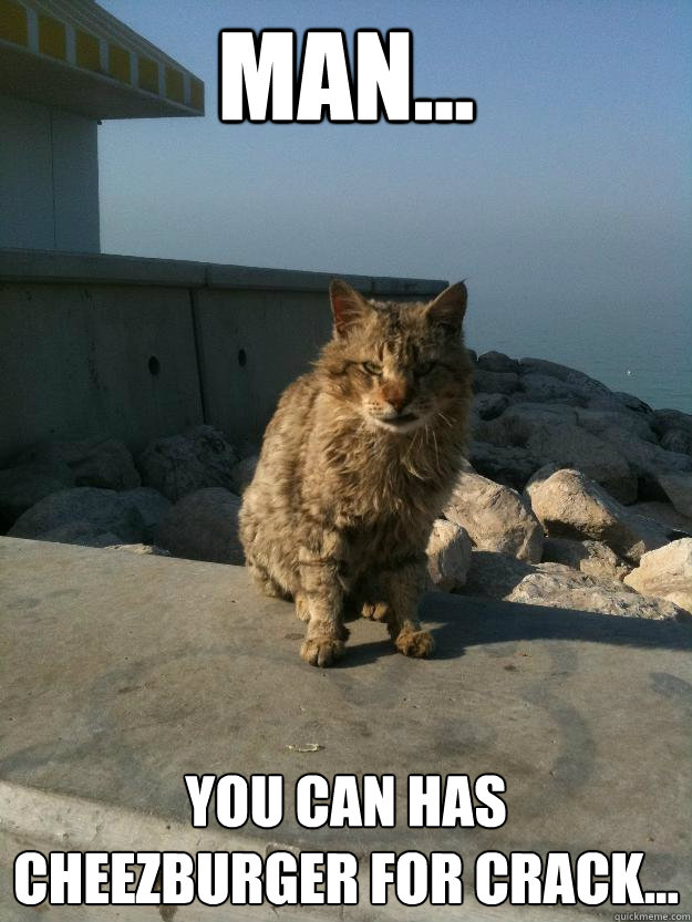 Man... you can has cheezburger for crack...  Bitter Cat