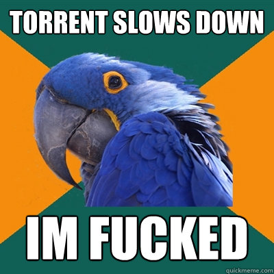 Torrent slows down Im fucked  Paranoid Parrot