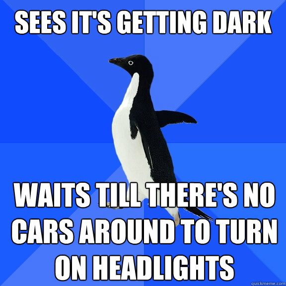 Sees it's getting dark Waits till there's no cars around to turn on headlights  Socially Awkward Penguin