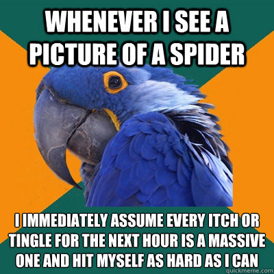 Whenever I see a picture of a spider I immediately assume every itch or tingle for the next hour is a massive one and hit myself as hard as I can  Paranoid Parrot