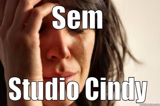 SEM STUDIO CINDY First World Problems