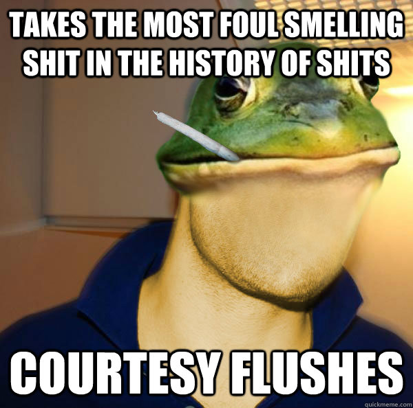 takes the most foul smelling shit in the history of shits courtesy flushes  