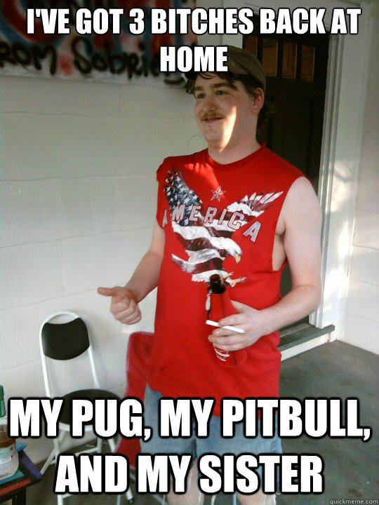 I've got 3 bitches back at home My pug, my pitbull, and my sister  Redneck Randal