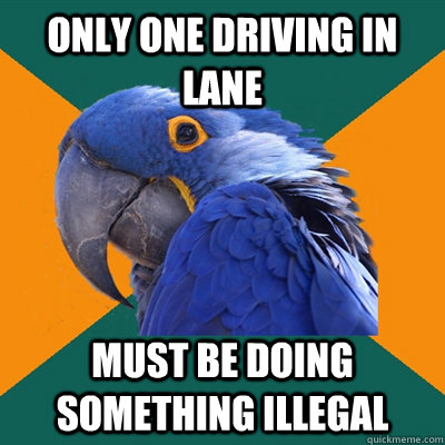 Only one driving in lane Must be doing something illegal  Paranoid Parrot