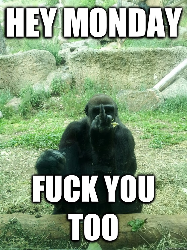 Hey Monday Fuck you too - Hey Monday Fuck you too  Middle Finger Gorilla