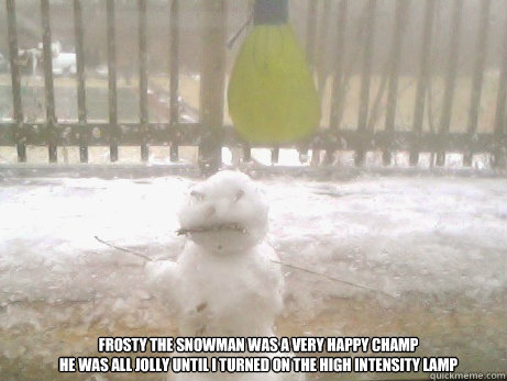 Frosty the snowman was a very happy champ
He was all jolly until I turned on the high intensity lamp - Frosty the snowman was a very happy champ
He was all jolly until I turned on the high intensity lamp  snow man of cassie