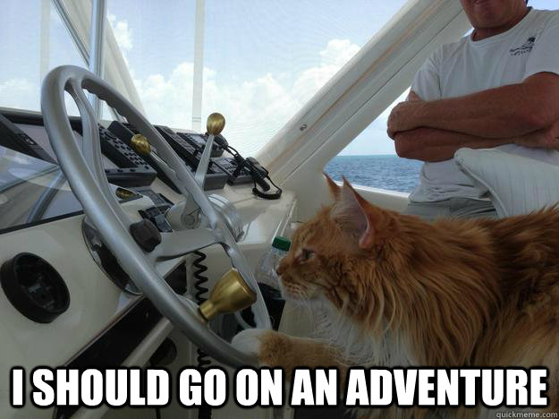  i should go on an adventure -  i should go on an adventure  Boating Cat