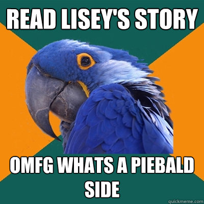 read Lisey's story omfg whats a piebald side  Paranoid Parrot