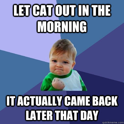 Let Cat out in the morning it actually came back later that day  Success Kid