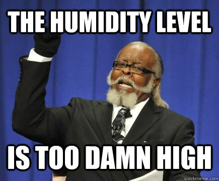 the humidity level is too damn high  Too Damn High
