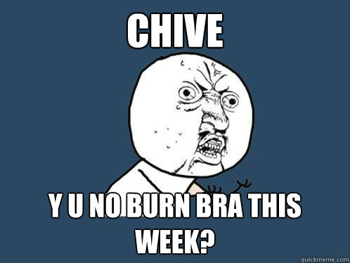 CHIVE Y U NO BURN BRA THIS WEEK? - CHIVE Y U NO BURN BRA THIS WEEK?  Y U No