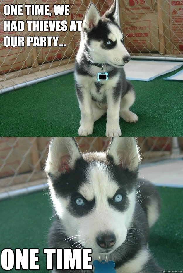 One time, we had thieves at our party... one time  Insanity puppy