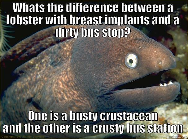 WHATS THE DIFFERENCE BETWEEN A LOBSTER WITH BREAST IMPLANTS AND A DIRTY BUS STOP? ONE IS A BUSTY CRUSTACEAN AND THE OTHER IS A CRUSTY BUS STATION Bad Joke Eel