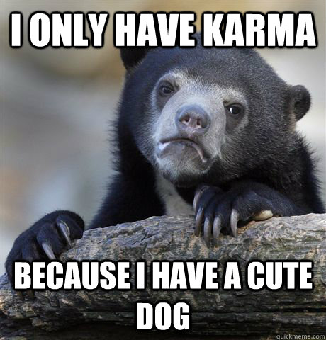 I only have karma because i have a cute dog  Confession Bear