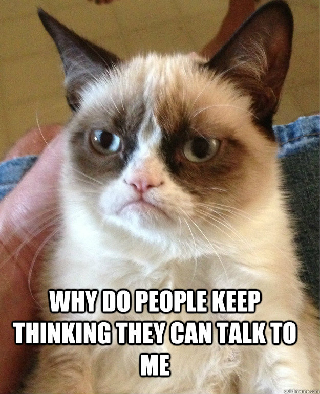 why do people keep thinking they can talk to me NO  Grumpy Cat
