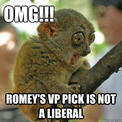 OMG!!! Romey'S VP pick is not a liberal  OMG Bush Baby